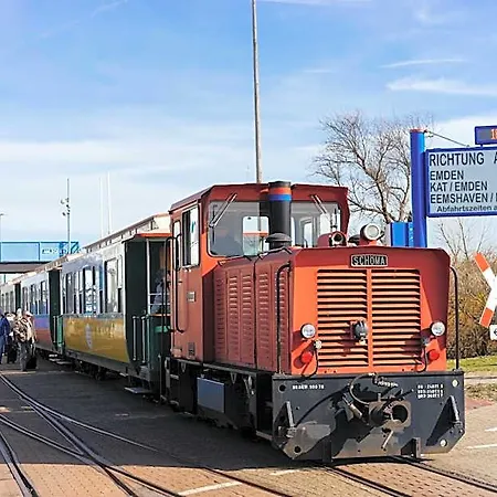 Kachelot 3*