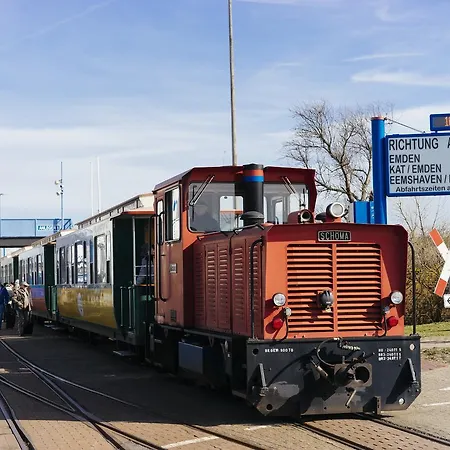Kachelot Borkum